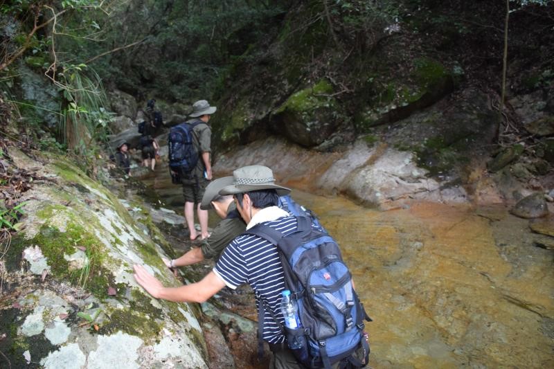 品味石臺牯牛降 平衡技術劍平強-上海劍平動平衡機制造有限公司