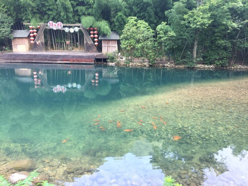 品味石臺牯牛降 平衡技術劍平強-上海劍平動平衡機制造有限公司